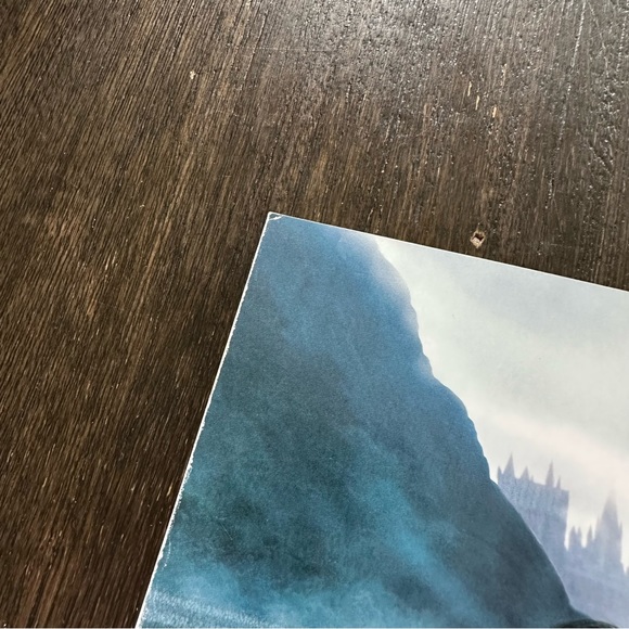 Harry Potter Voldemort Double Sided Movie Poster - Picture 5 of 11